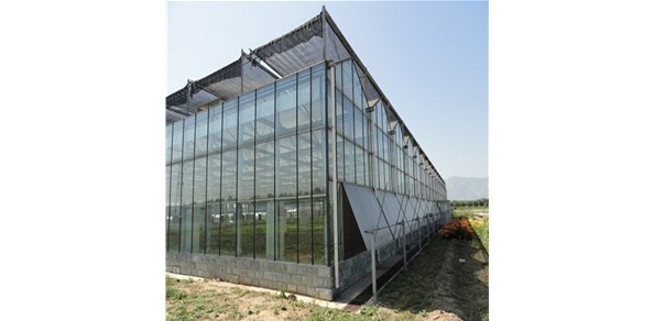 1月25日 營(yíng)銷政策調(diào)整，市場(chǎng)成交減少！