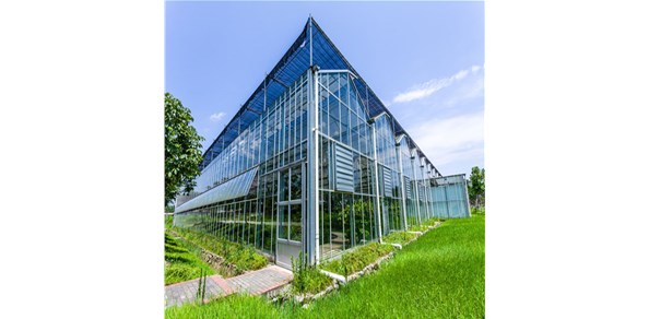 家裝門窗為什么用夾膠玻璃？